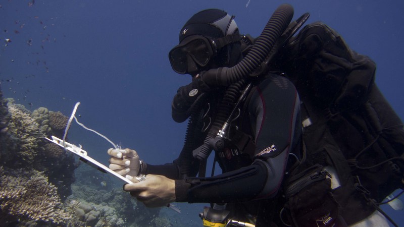 Reef Check Eco Diver